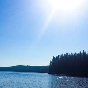 Meet your Posher, Ingrid